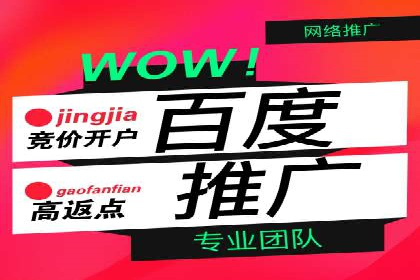 竞价广告案例分享：XX电商平台的成功秘诀